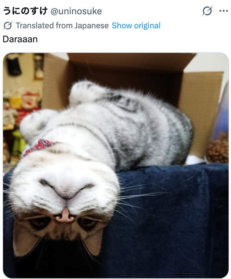 うにのすけ @uninosuke Translated from Japanese Show original Daraaan