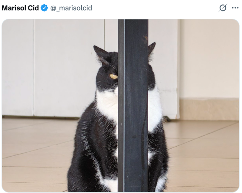 Marisol Cid @_marisolcid 0 ...