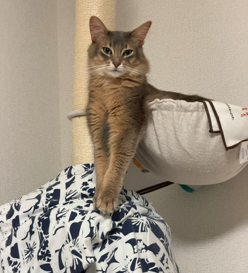 イメージです。