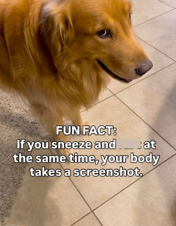 FUN FACT: If you sneeze and... at the same time, your body takes a screenshot.