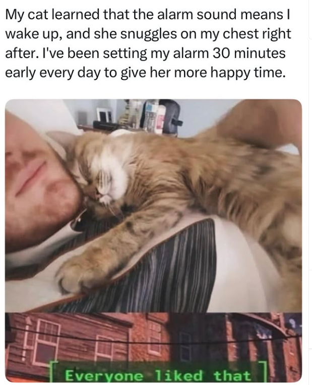 My cat learned that the alarm sound means I wake up, and she snuggles on my chest right after. I've been setting my alarm 30 minutes early every day to give her more happy time. Everyone liked that