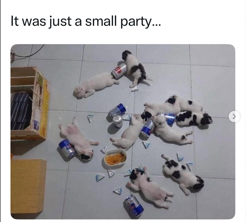 It was just a small party... >