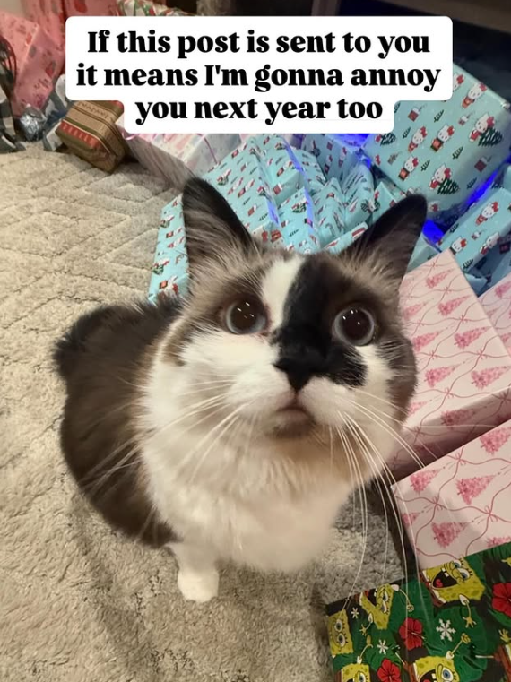 If this post is sent to you it means I'm gonna annoy you next year too