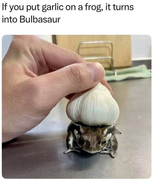If you put garlic on a frog, it turns into Bulbasaur