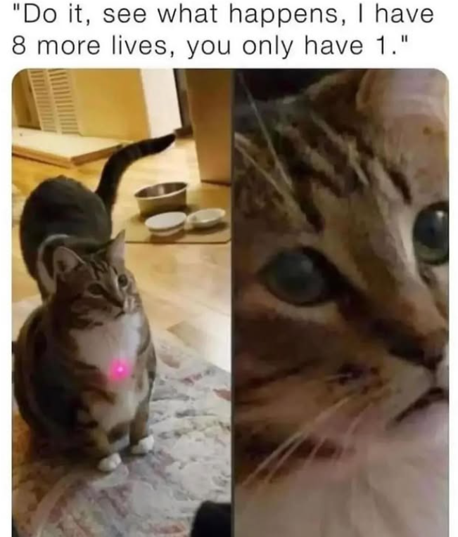 "Do it, see what happens, I have 8 more lives, you only have 1."