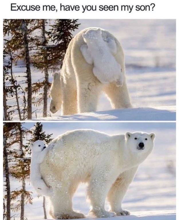 Excuse me, have you seen my son?