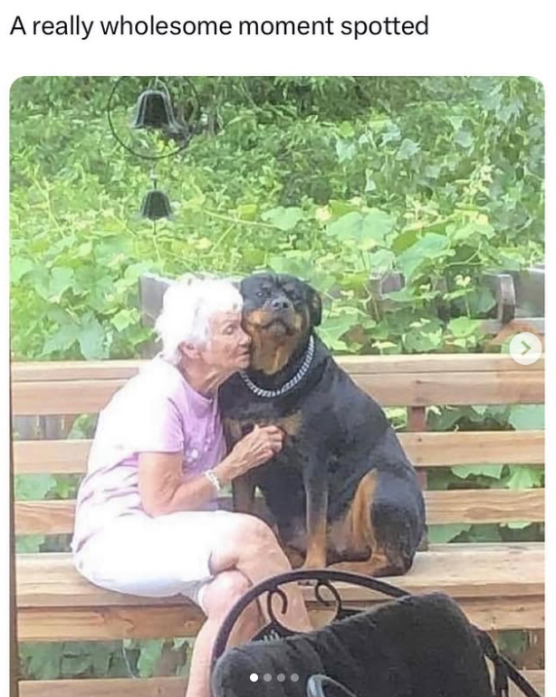A really wholesome moment spotted
