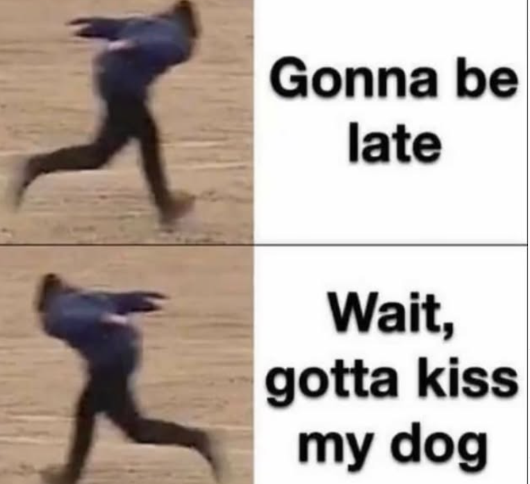 Gonna be late Wait, gotta kiss my dog
