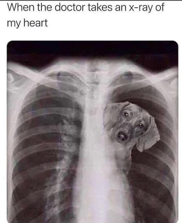 When the doctor takes an x-ray of my heart