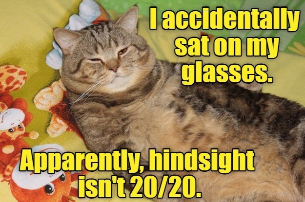 Cheezburger Image 10633239296