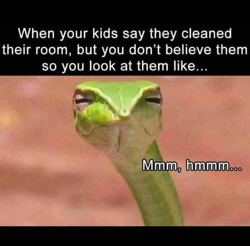 When your kids say they cleaned their room, but you don't believe them so you look at them like... Mmm, hmmm...