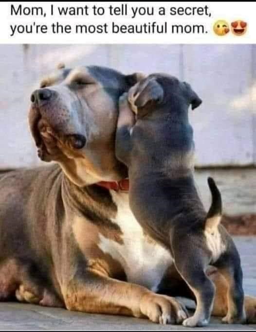 Mom, I want to tell you a secret, you're the most beautiful mom.