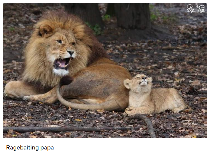 Ragebaiting papa By Tay