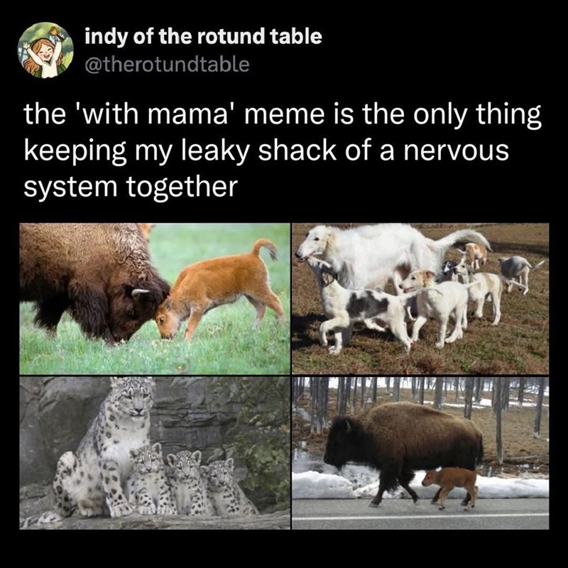 indy of the rotund table @therotundtable the 'with mama' meme is the only thing keeping my leaky shack of a nervous system together