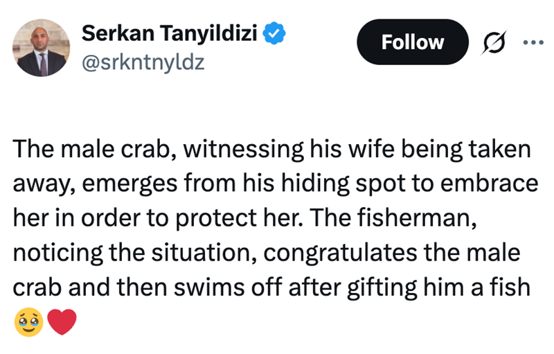 Serkan Tanyildizi @srkntnyldz Follow The male crab, witnessing his wife being taken away, emerges from his hiding spot to embrace her in order to protect her. The fisherman, noticing the situation, congratulates the male crab and then swims off after gifting him a fish