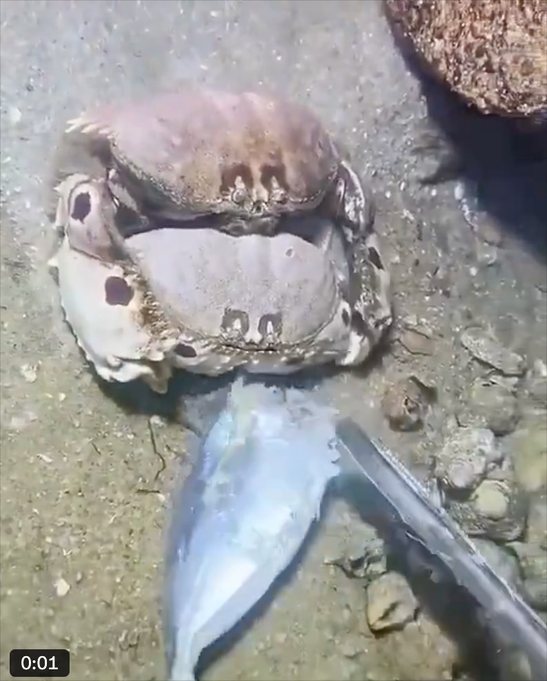 0:01