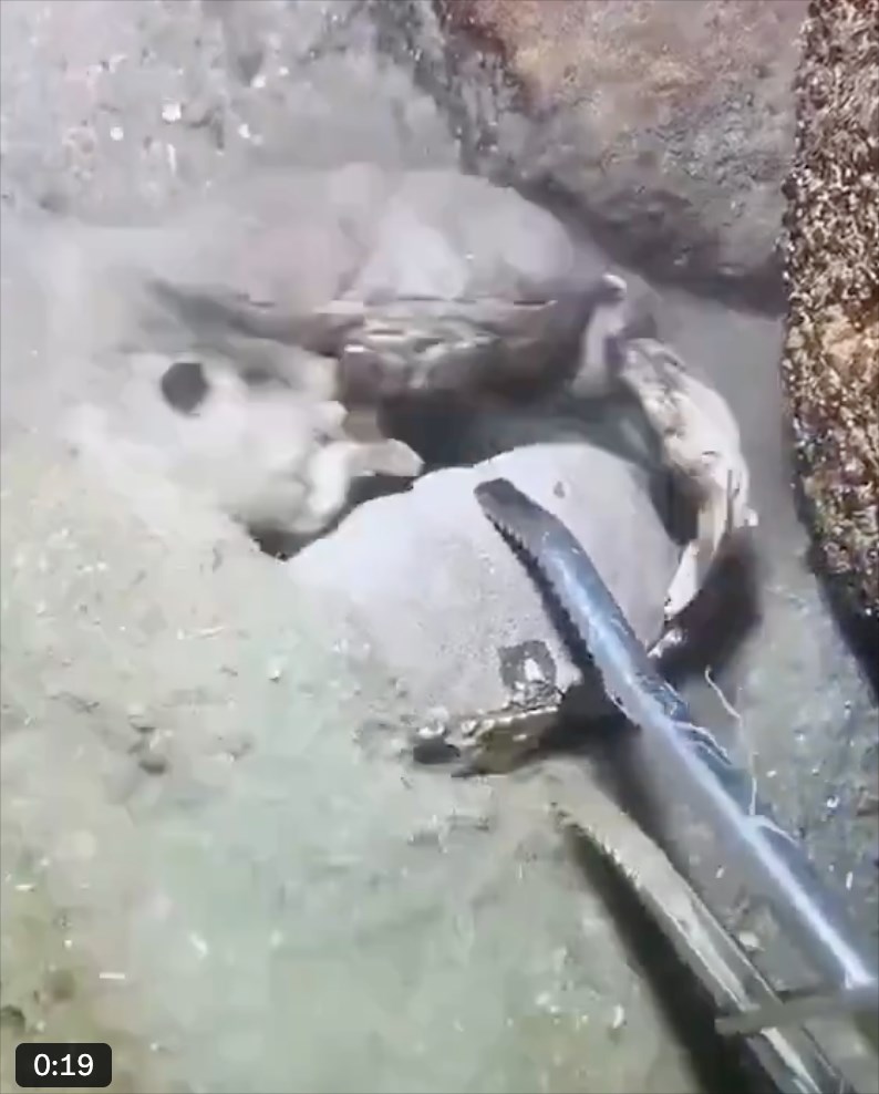 0:19