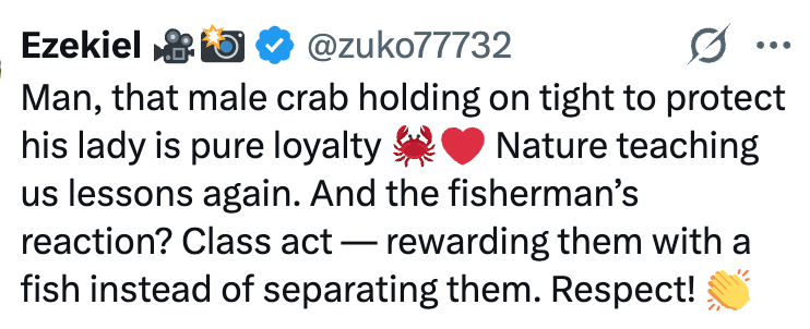 Ezekiel @zuko77732 0 Man, that male crab holding on tight to protect his lady is pure loyalty Nature teaching us lessons again. And the fisherman's reaction? Class act - rewarding them with a fish instead of separating them. Respect!