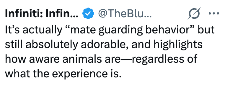Infiniti: Infin... @TheBlu... It's actually "mate guarding behavior" but still absolutely adorable, and highlights how aware animals are-regardless of what the experience is.
