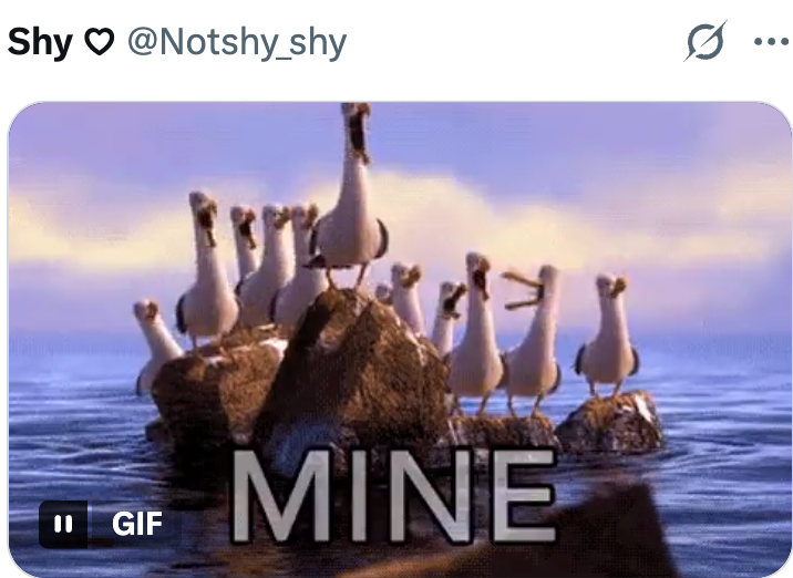 Shy @Notshy_shy 11 GIF MINE
