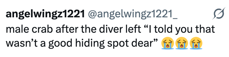 angelwingz1221 @angelwingz1221_ male crab after the diver left "I told you that wasn't a good hiding spot dear"