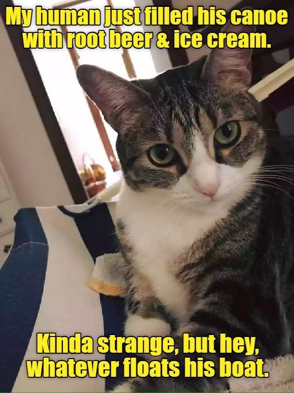 Cheezburger Image 10633250816