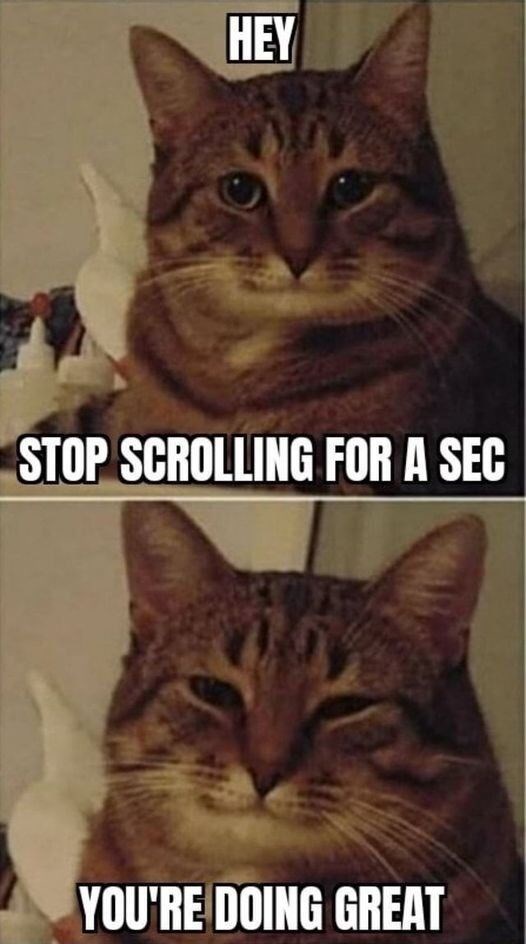 HEY STOP SCROLLING FOR A SEC YOU'RE DOING GREAT