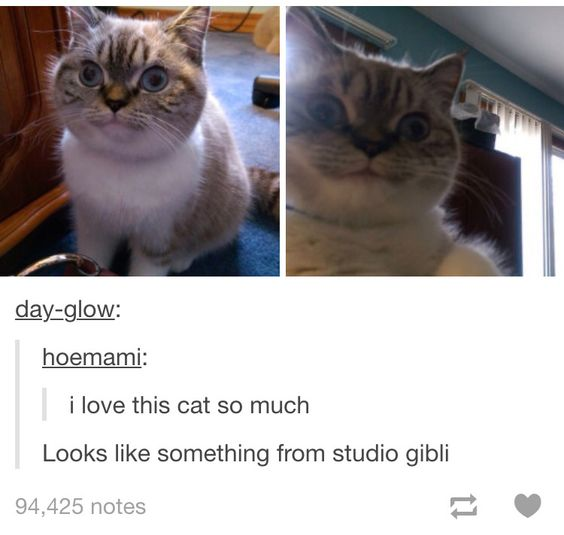 day-glow: hoemami: i love this cat so much Looks like something from studio gibli 94,425 notes