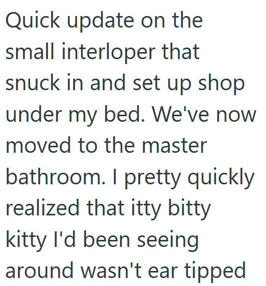 Quick update on the small interloper that snuck in and set up shop under my bed. We've now moved to the master bathroom. I pretty quickly realized that itty bitty kitty I'd been seeing around wasn't ear tipped