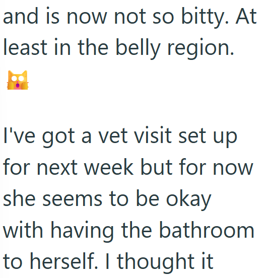 and is now not so bitty. At least in the belly region. I've got a vet visit set up for next week but for now she seems to be okay with having the bathroom to herself. I thought it