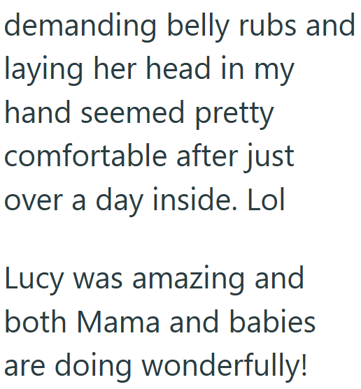 demanding belly rubs and laying her head in my hand seemed pretty comfortable after just over a day inside. Lol Lucy was amazing and both Mama and babies are doing wonderfully!