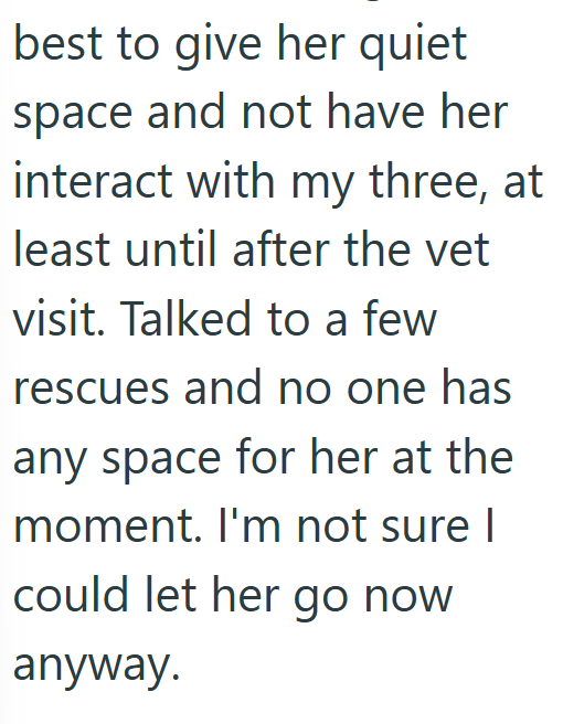 best to give her quiet space and not have her interact with my three, at least until after the vet visit. Talked to a few rescues and no one has any space for her at the moment. I'm not sure I could let her go now anyway.