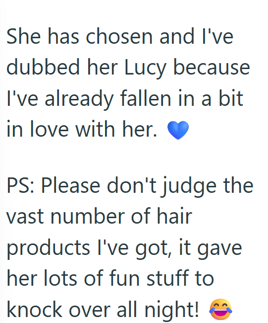 She has chosen and I've dubbed her Lucy because I've already fallen in a bit. in love with her. PS: Please don't judge the vast number of hair products I've got, it gave her lots of fun stuff to knock over all night!