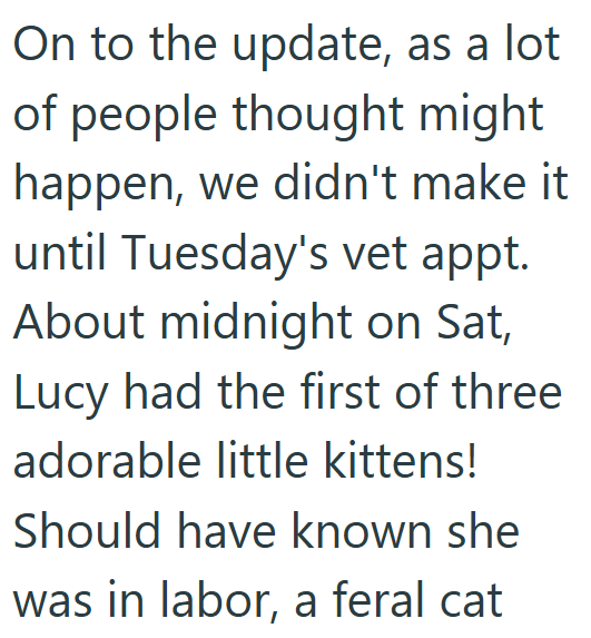 On to the update, as a lot of people thought might happen, we didn't make it until Tuesday's vet appt. About midnight on Sat, Lucy had the first of three adorable little kittens! Should have known she was in labor, a feral cat