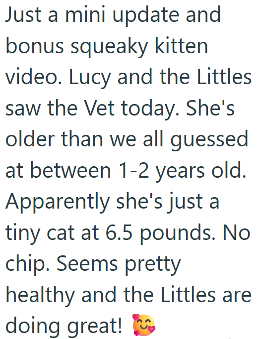 Just a mini update and bonus squeaky kitten video. Lucy and the Littles saw the Vet today. She's older than we all guessed at between 1-2 years old. Apparently she's just a tiny cat at 6.5 pounds. No chip. Seems pretty healthy and the Littles are doing great!