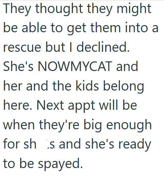 They thought they might be able to get them into a rescue but I declined. She's NOWMYCAT and her and the kids belong here. Next appt will be when they're big enough for shis and she's ready to be spayed.