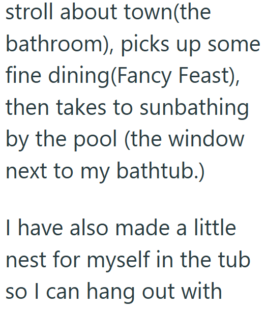 stroll about town(the bathroom), picks up some fine dining (Fancy Feast), then takes to sunbathing by the pool (the window next to my bathtub.) I have also made a little nest for myself in the tub so I can hang out with