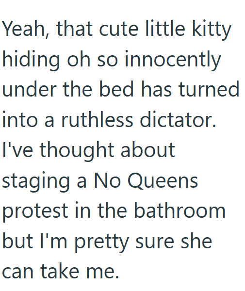 Yeah, that cute little kitty hiding oh so innocently under the bed has turned into a ruthless dictator. I've thought about staging a No Queens protest in the bathroom but I'm pretty sure she can take me.