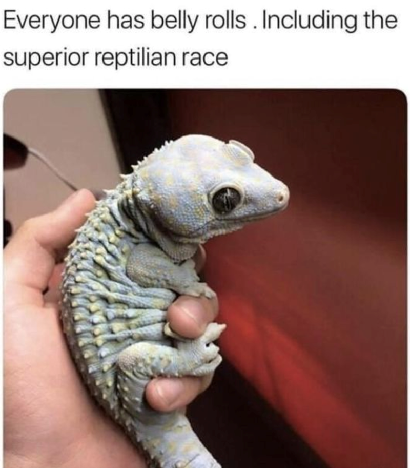 Everyone has belly rolls. Including the superior reptilian race
