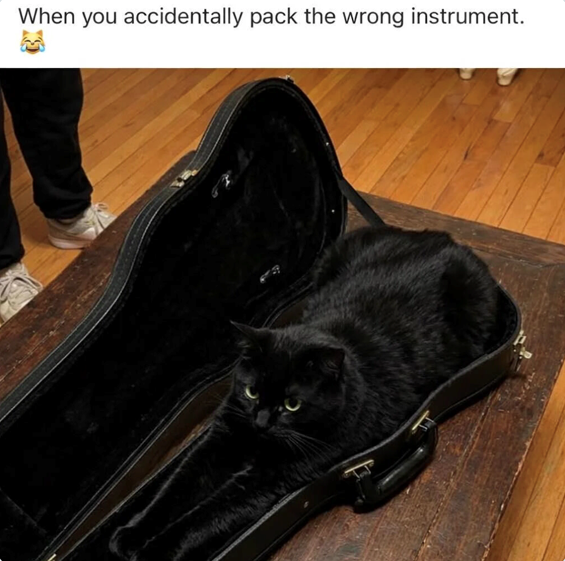 When you accidentally pack the wrong instrument.
