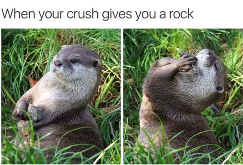 When your crush gives you a rock