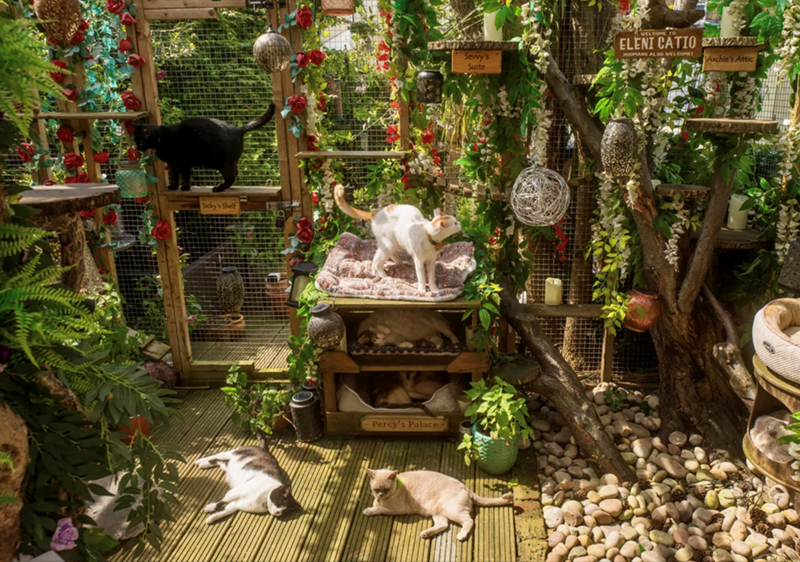 Sicky's Shelf Percy's Palace- Sevvy's Suite WELCOME TO ELENI CATIO HOOMANE ALSO WELCOME Archie's Attic