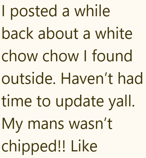 I posted a while back about a white chow chow I found outside. Haven't had time to update yall. My mans wasn't chipped!! Like
