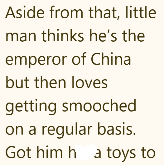 Aside from that, little man thinks he's the emperor of China but then loves getting smooched on a regular basis. Got him ha toys to