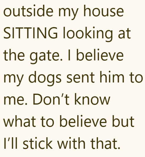 outside my house SITTING looking at the gate. I believe my dogs sent him to me. Don't know what to believe but I'll stick with that.