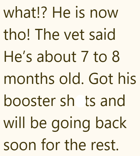 what!? He is now tho! The vet said He's about 7 to 8 months old. Got his booster sh ts and will be going back soon for the rest.