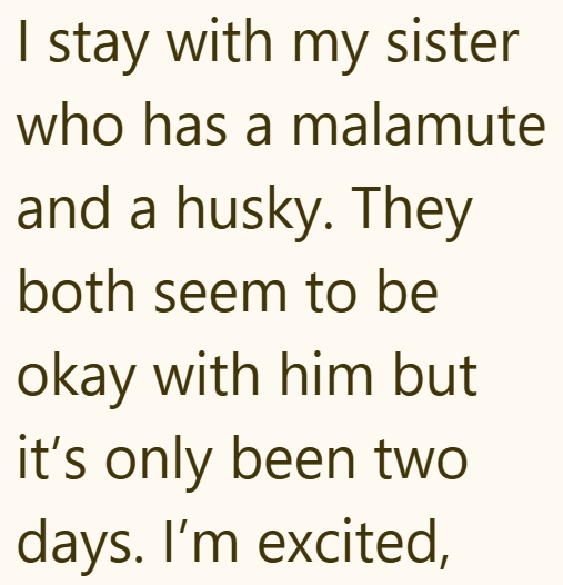 I stay with my sister who has a malamute and a husky. They both seem to be okay with him but it's only been two days. I'm excited,