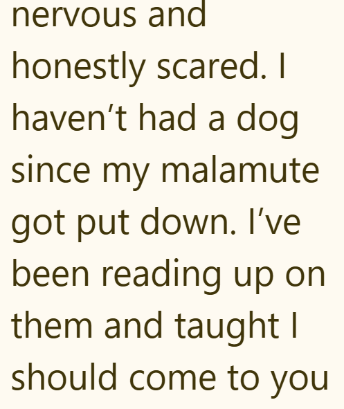 nervous and honestly scared. I haven't had a dog since my malamute got put down. I've been reading up on them and taught I should come to you