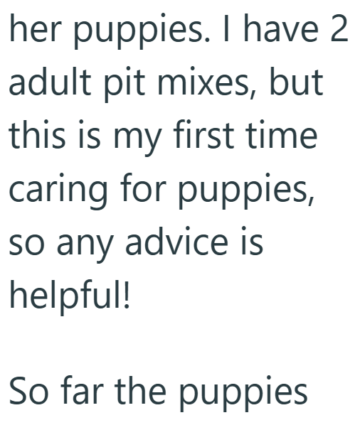 her puppies. I have 2 adult pit mixes, but this is my first time caring for puppies, so any advice is helpful! So far the puppies