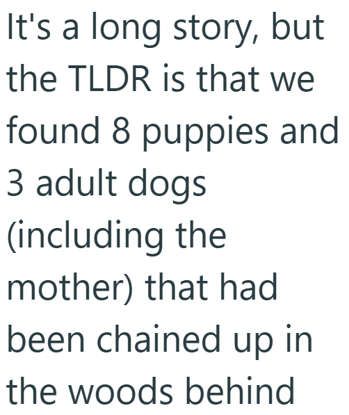 It's a long story, but the TLDR is that we found 8 puppies and 3 adult dogs (including the mother) that had been chained up in the woods behind